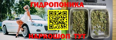 дмт Славянск-на-Кубани